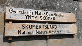 Skomer island sign
