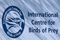 INTERNATIONAL CENTRE for BIRDS OF PREY