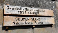 SKOMER ISLAND